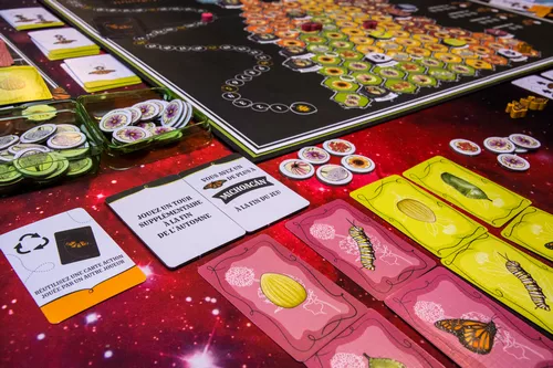 Test du jeu MARIPOSAS vue plateau 1